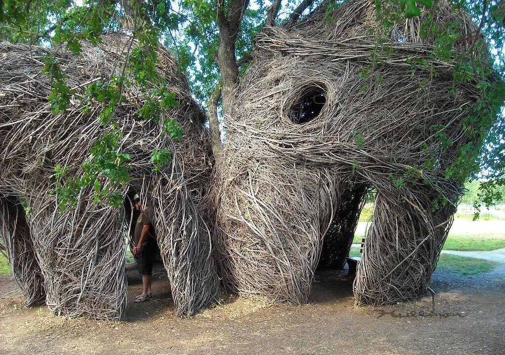 Photo of Outdoor in Redding