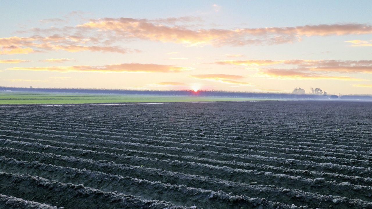 Photo of Outdoor in Tulare
