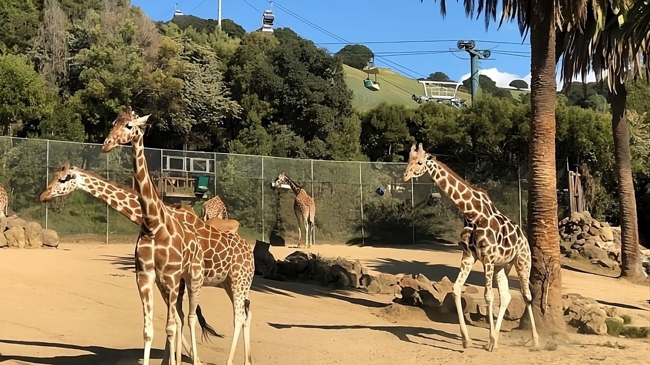 Photo of Others in San Ramon