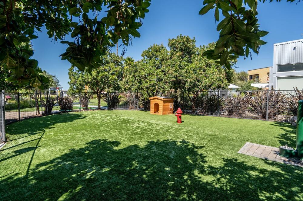 Photo of Outdoor in East San Mateo