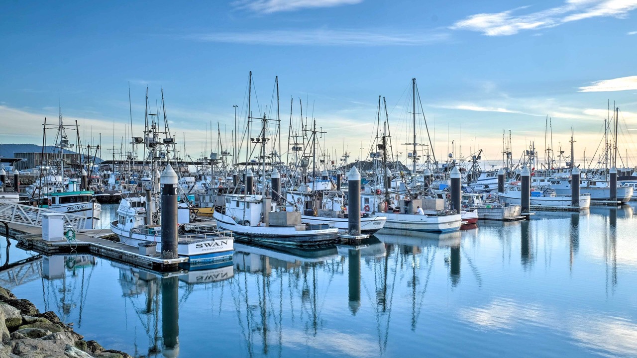 Photo of Others in Crescent City North