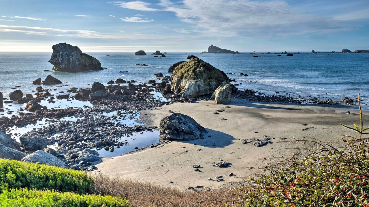 Photo of Others in Crescent City North