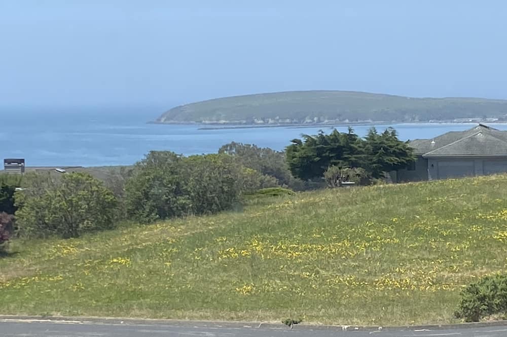Photo of Outdoor in Bodega Bay