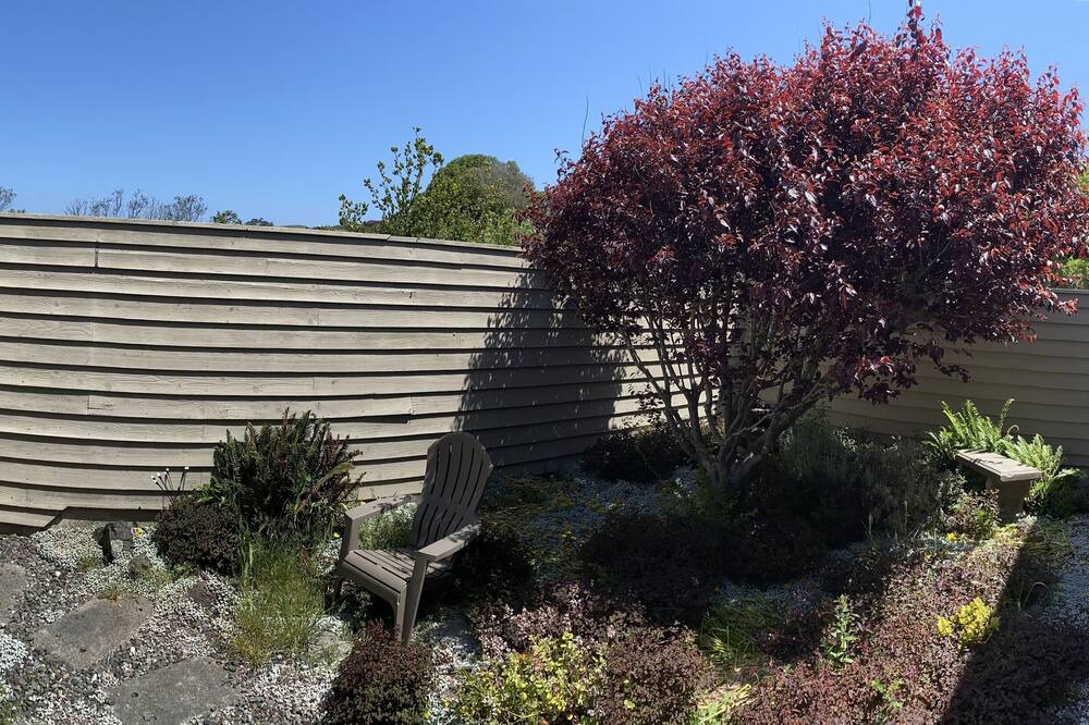 Photo of Outdoor in Bodega Bay