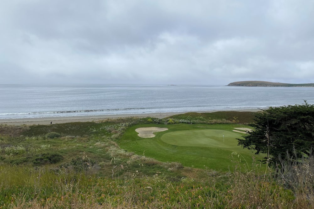 Photo of Others in Bodega Bay