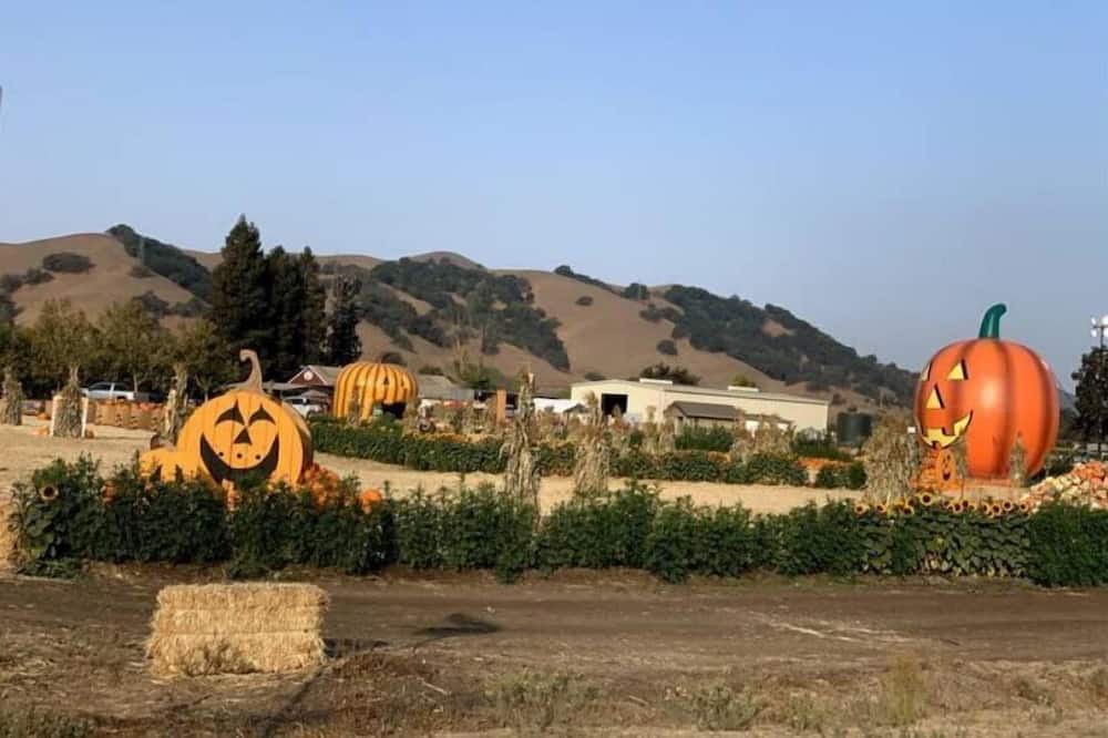 Photo of Outdoor in Gilroy