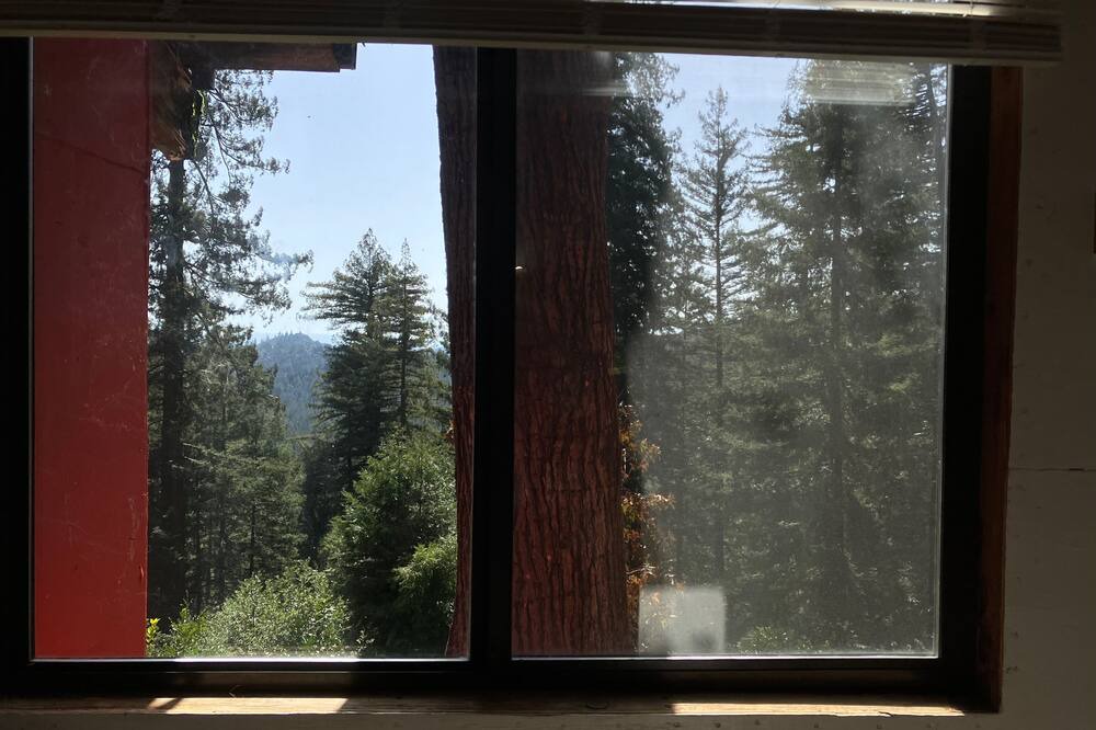 Photo of Others in Los Gatos