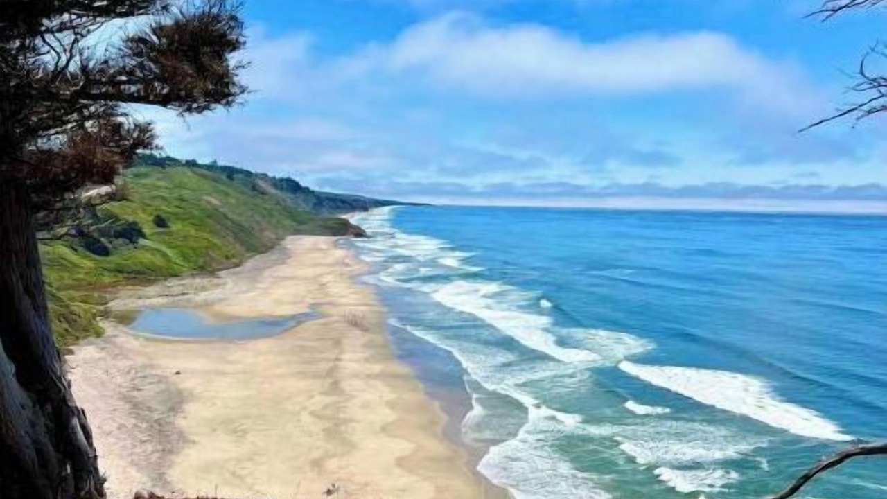 Photo of Outdoor in Half Moon Bay