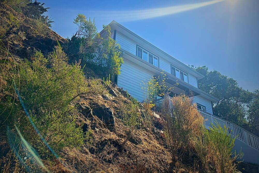 Photo of Outdoor in Belmont
