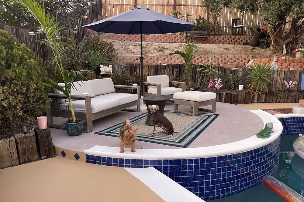 Photo of Patio Balcony in Bay Terraces