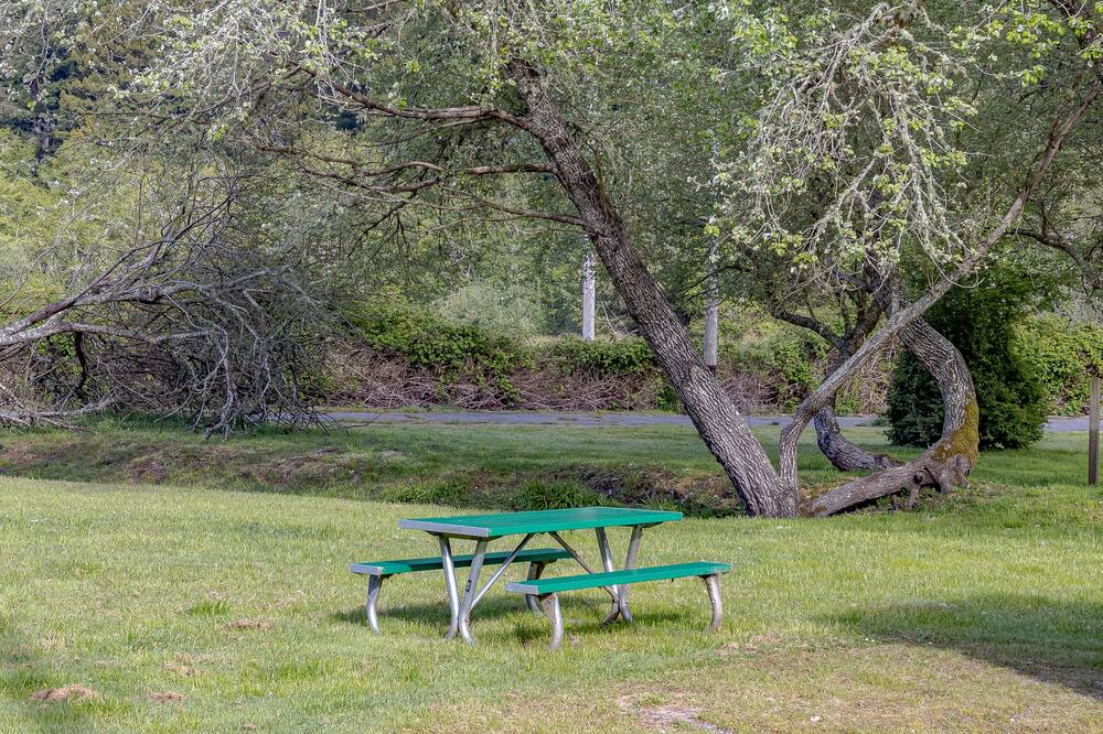 Photo of Others in Orick