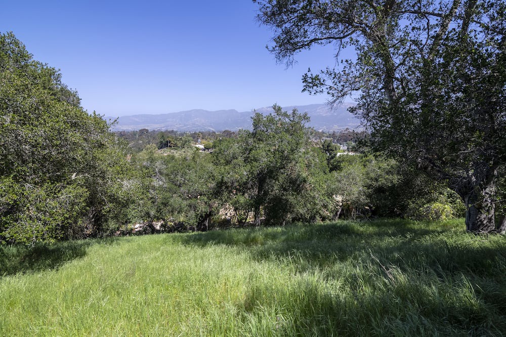 Photo of Outdoor in Bel Air