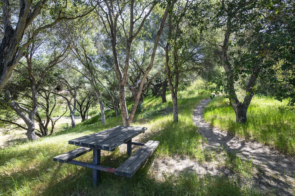 Photo of Outdoor in Bel Air