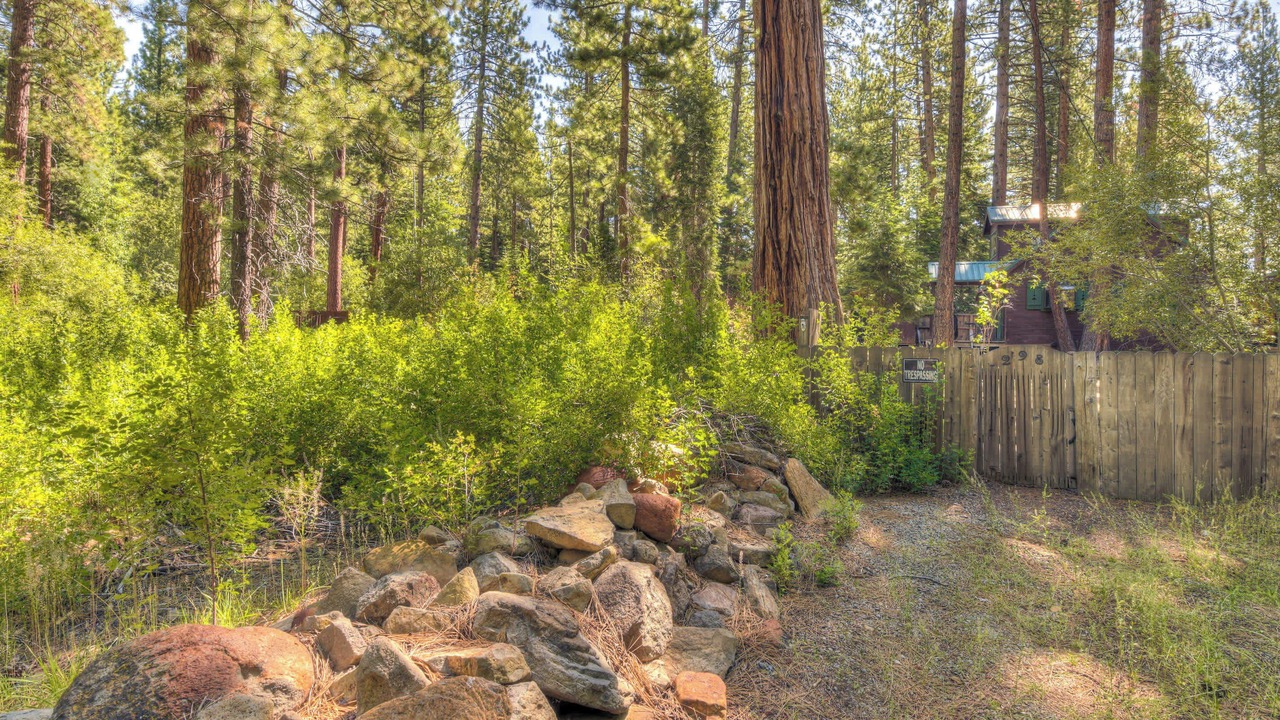 Photo of Outdoor in Kings Beach