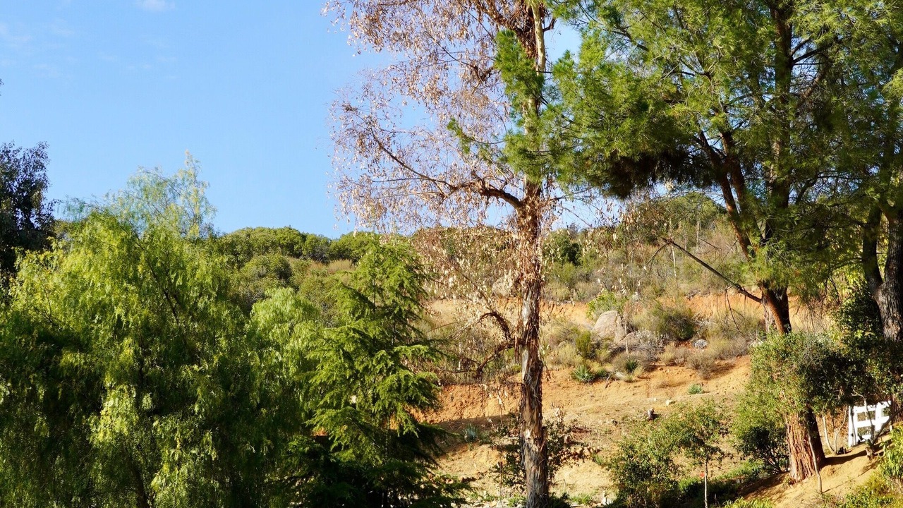 Photo of Outdoor in Alpine