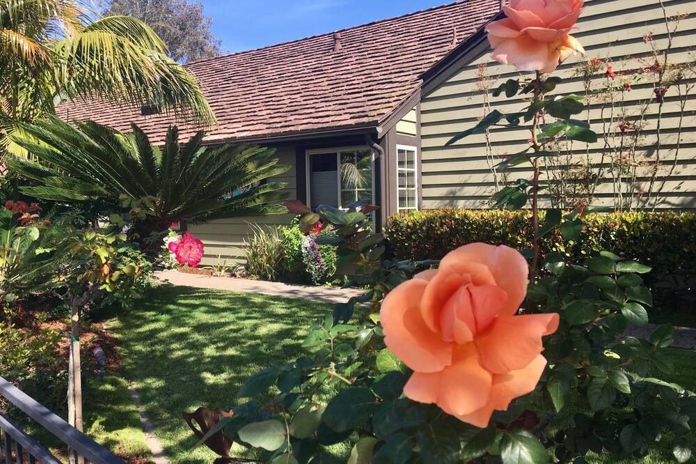 Photo of Outdoor in Carlsbad
