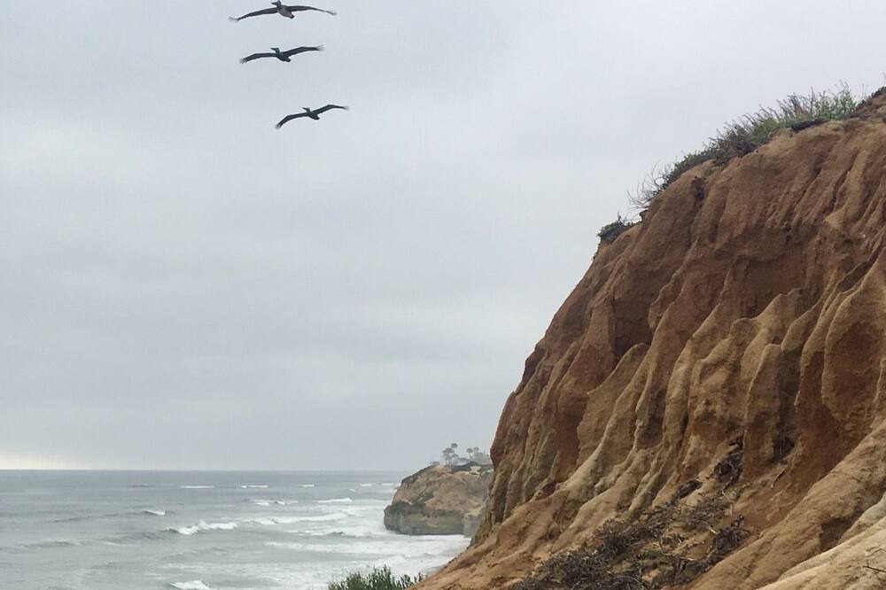 Photo of Others in Carlsbad