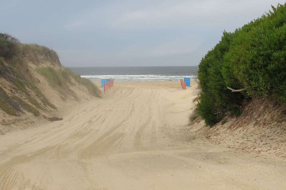 Photo of Others in Oceano