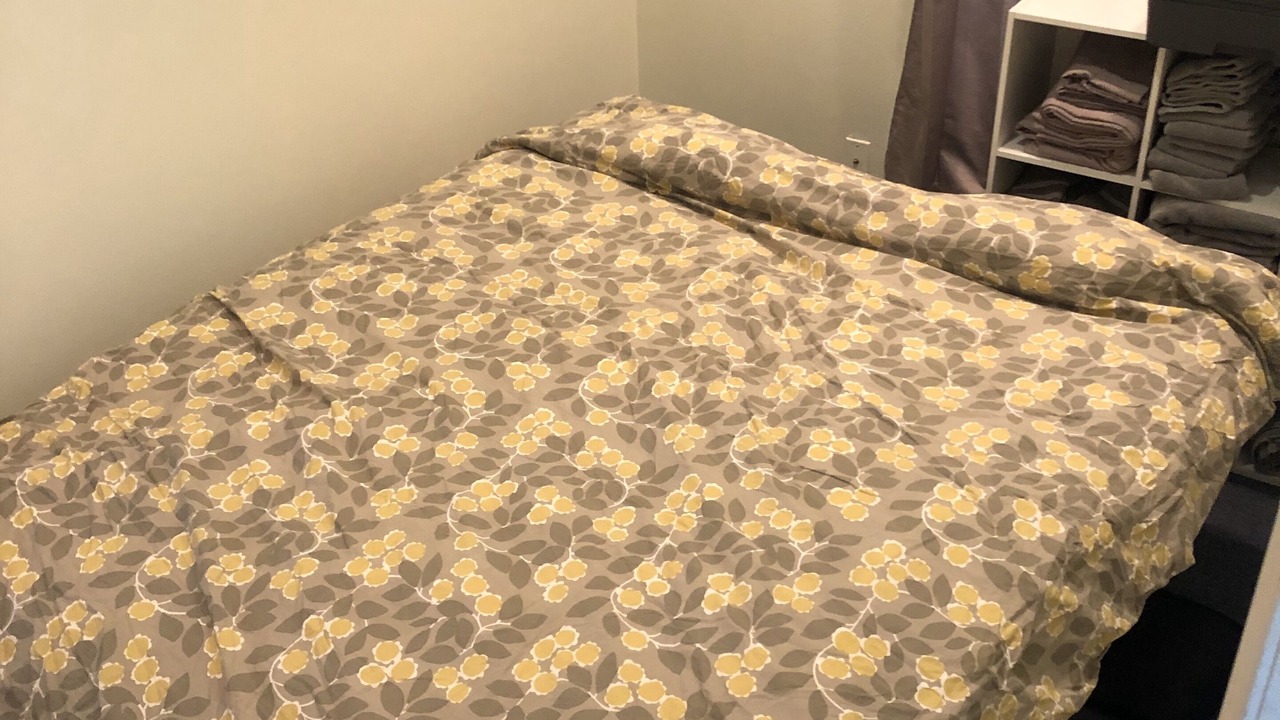 Photo of Bedroom in La Jolla Mesa