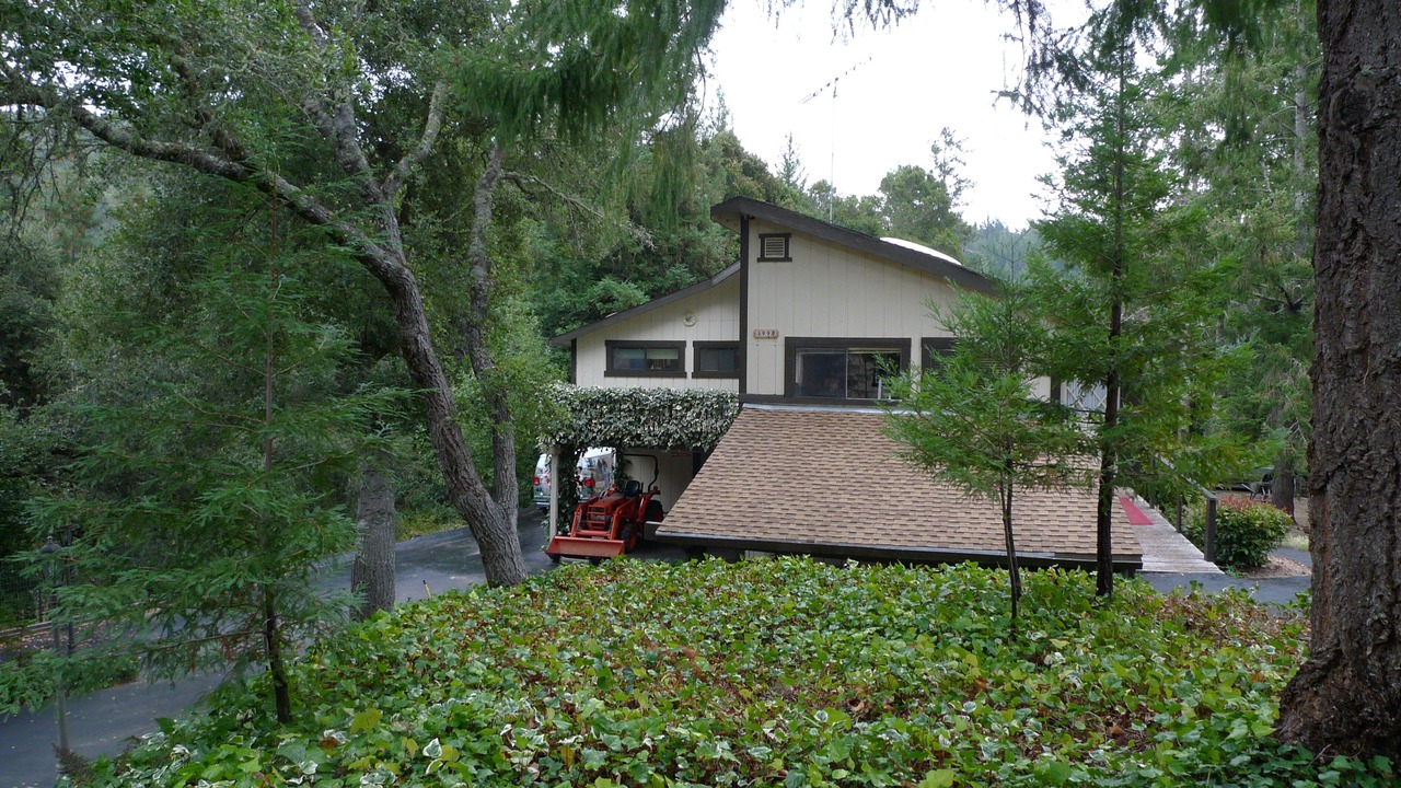 Photo of Outdoor in Los Gatos