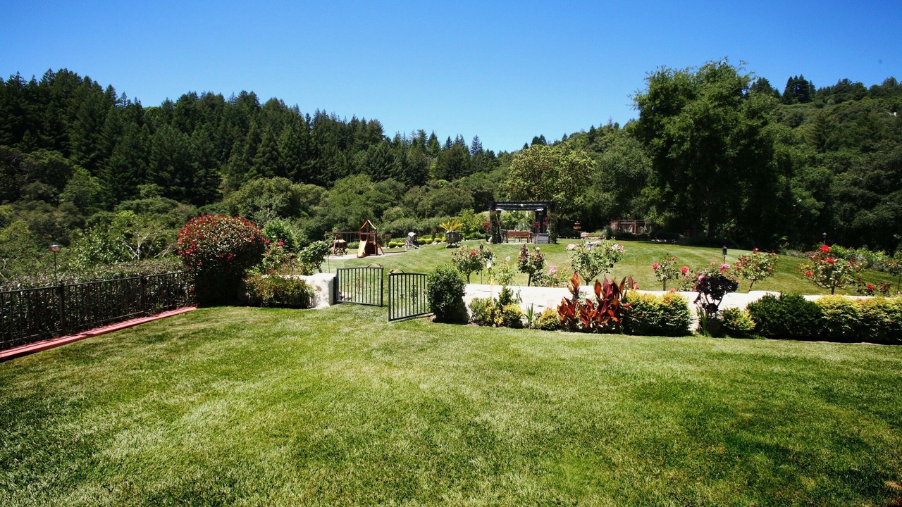 Photo of Others in Los Gatos