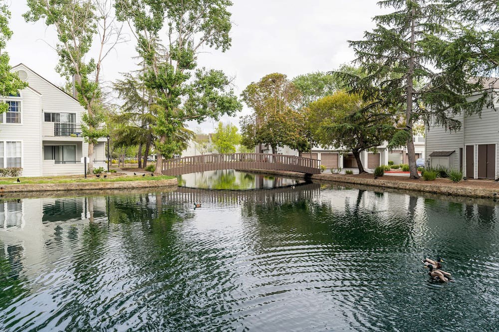 Photo of Outdoor in Foster City