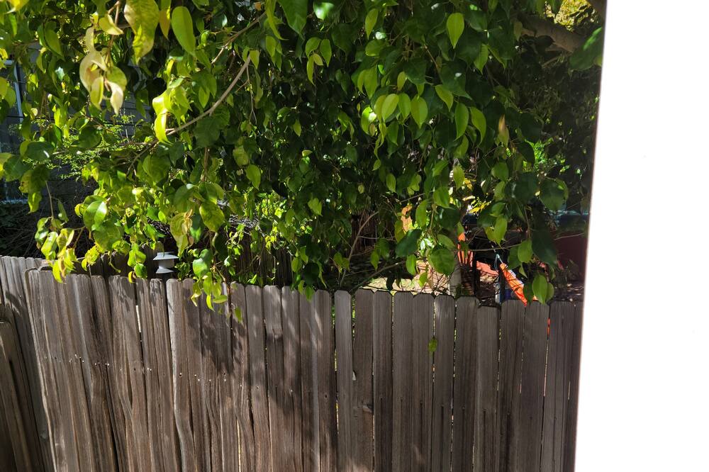 Photo of Outdoor in Laguna Beach