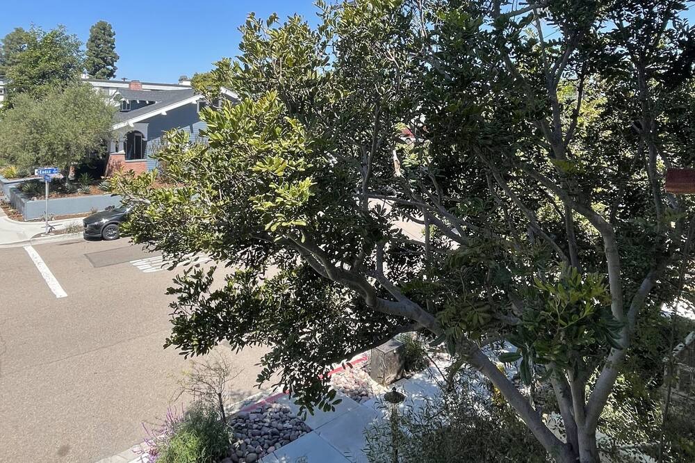 Photo of Outdoor in Hillcrest