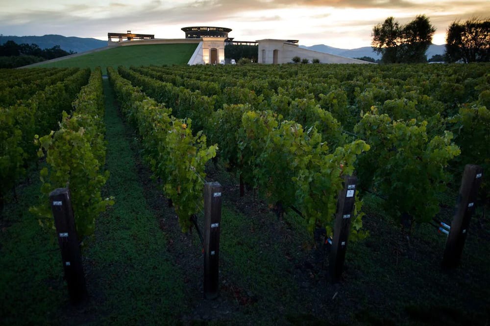 Photo of Outdoor in Santa Rosa