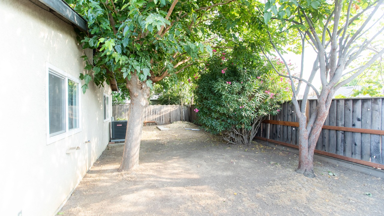 Photo of Outdoor in Willow Glen