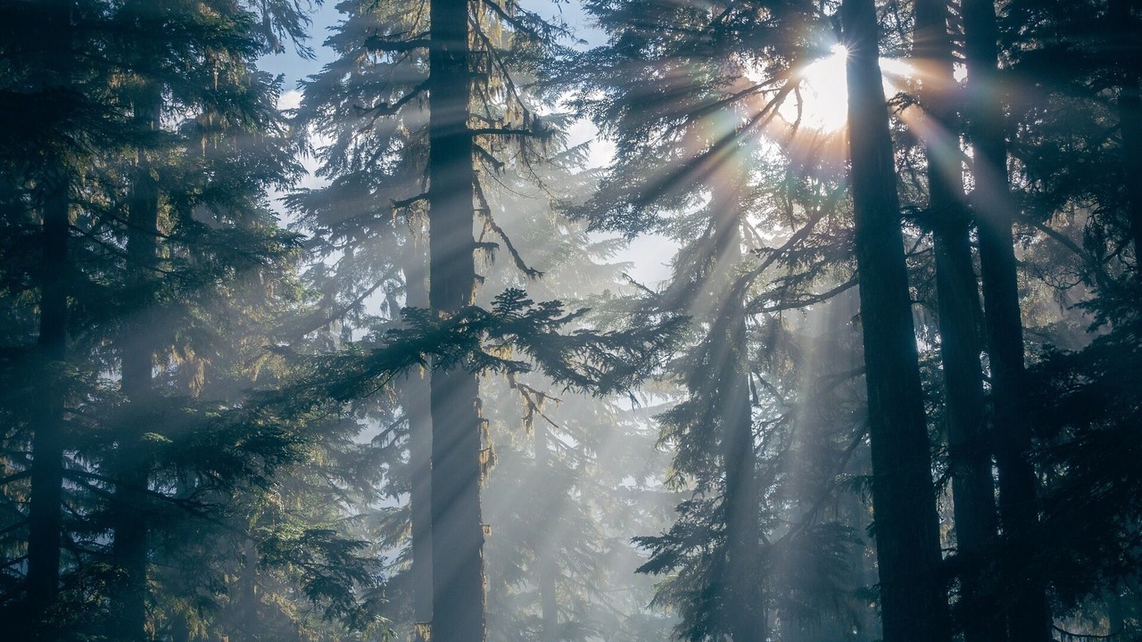 Photo of Outdoor in Twin Peaks