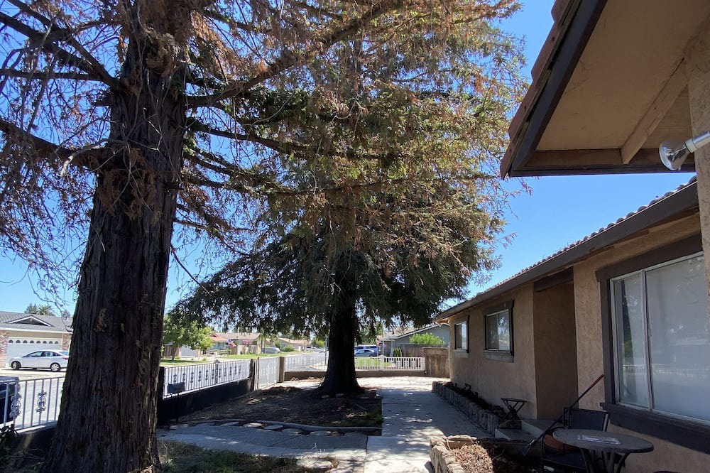 Photo of Outdoor in Turlock