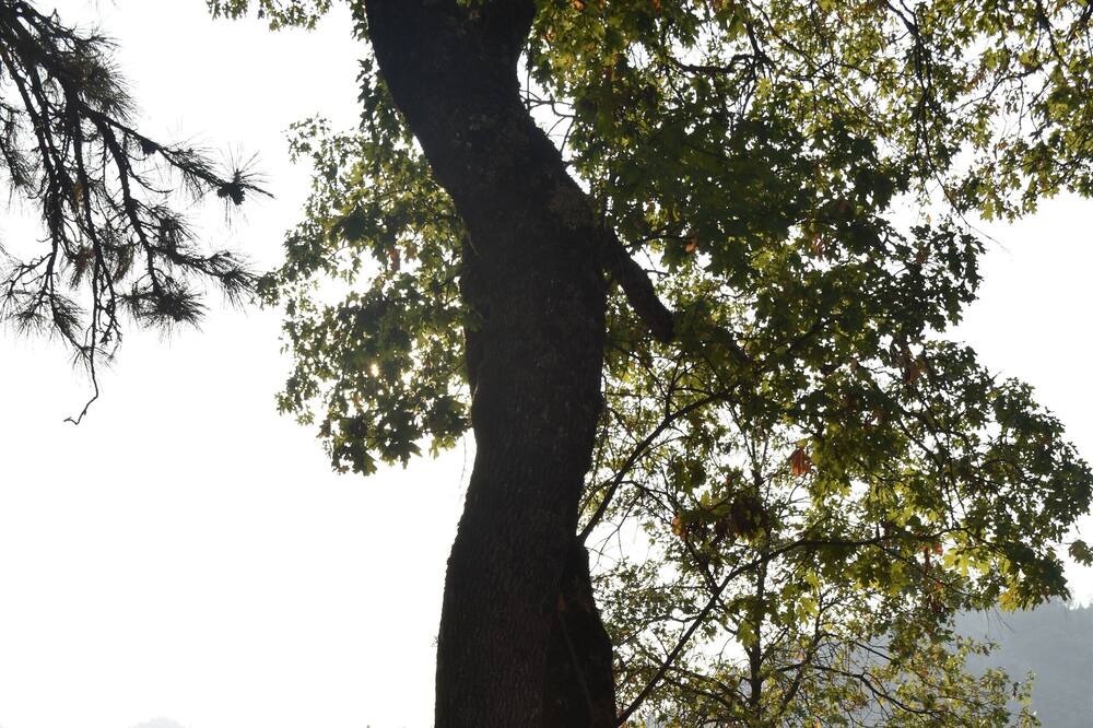 Photo of Outdoor in Lakeshore