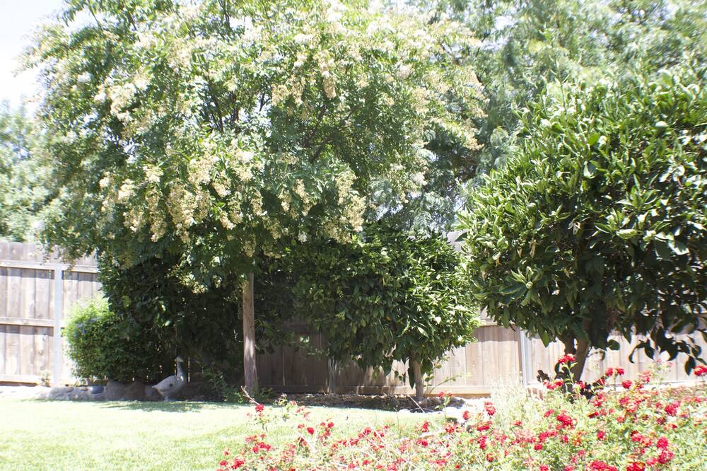 Photo of Outdoor in Exeter