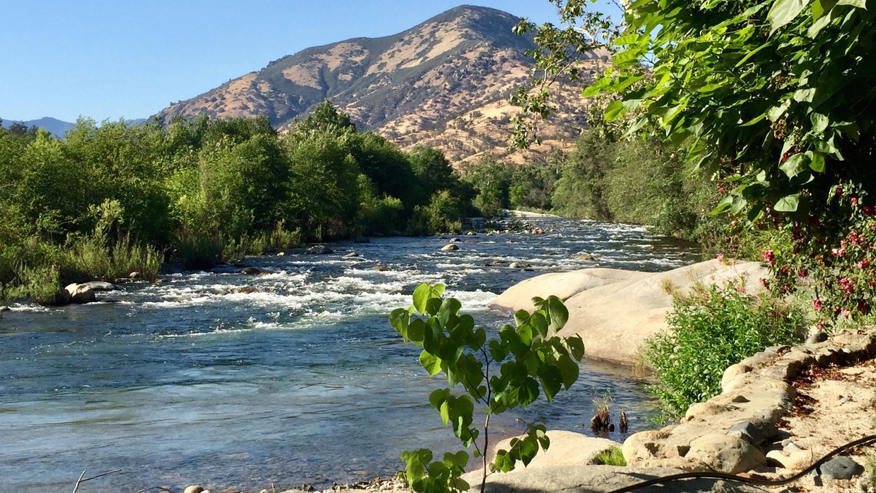 Photo of Others in Three Rivers