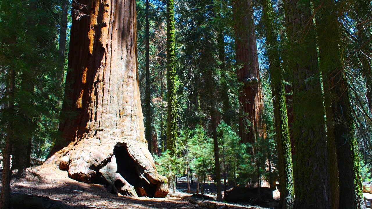 Photo of Outdoor in Three Rivers
