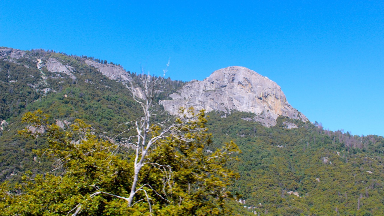 Photo of Outdoor in Three Rivers