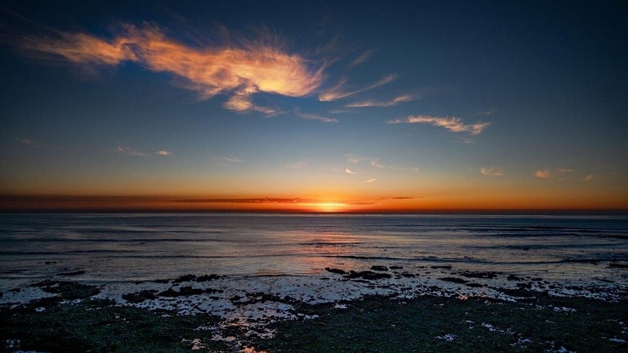 Photo of Others in La Jolla
