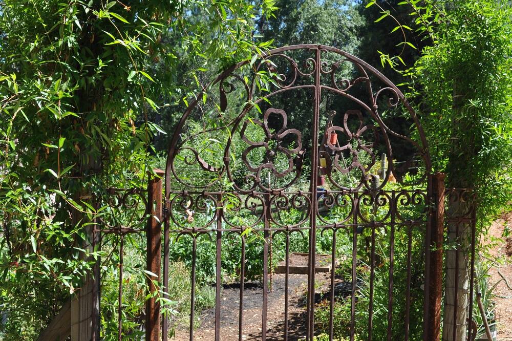 Photo of Outdoor in Georgetown