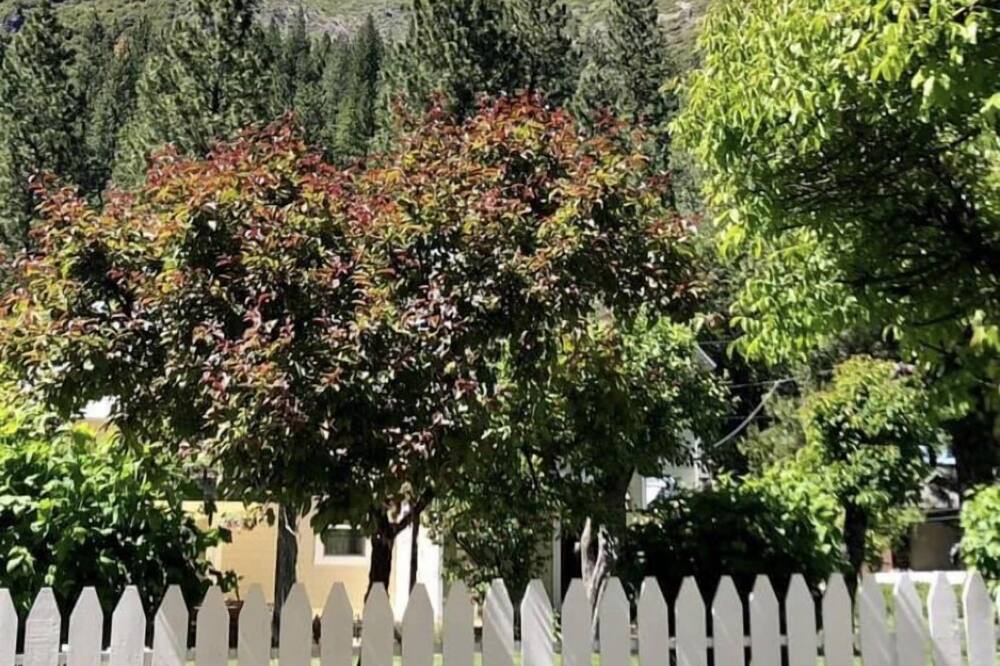 Photo of Others in Sierra City