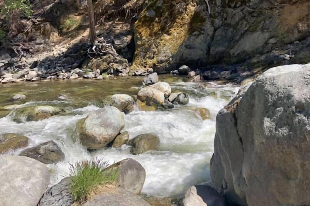 Photo of Others in Sierra City