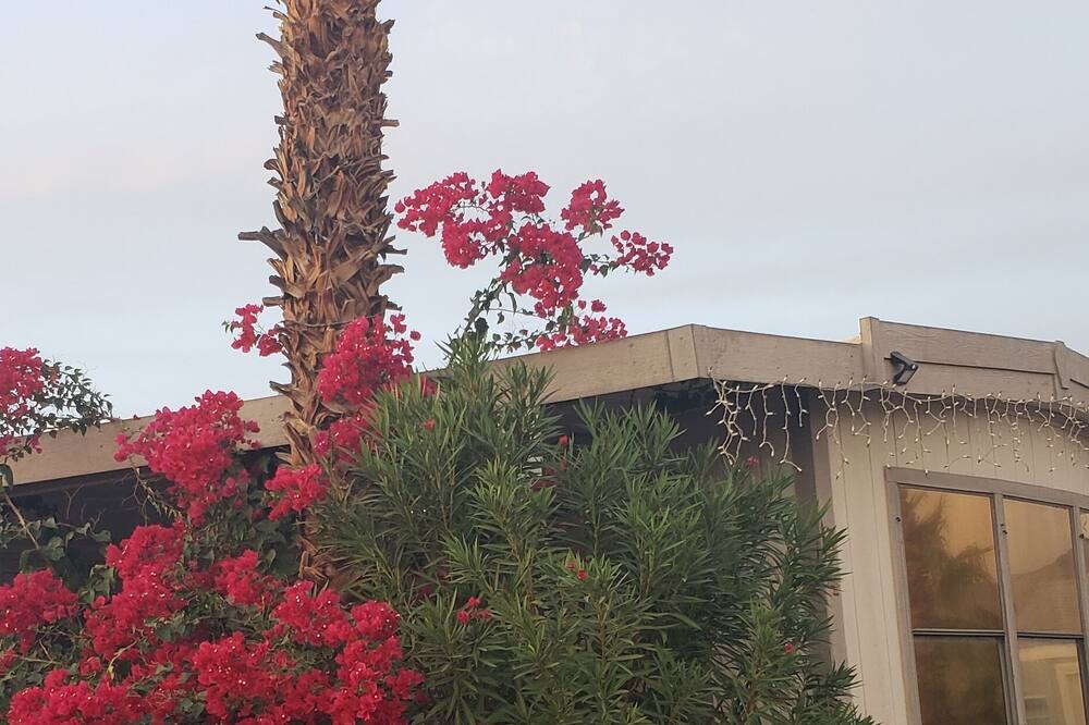 Photo of Outdoor in Desert Hot Springs