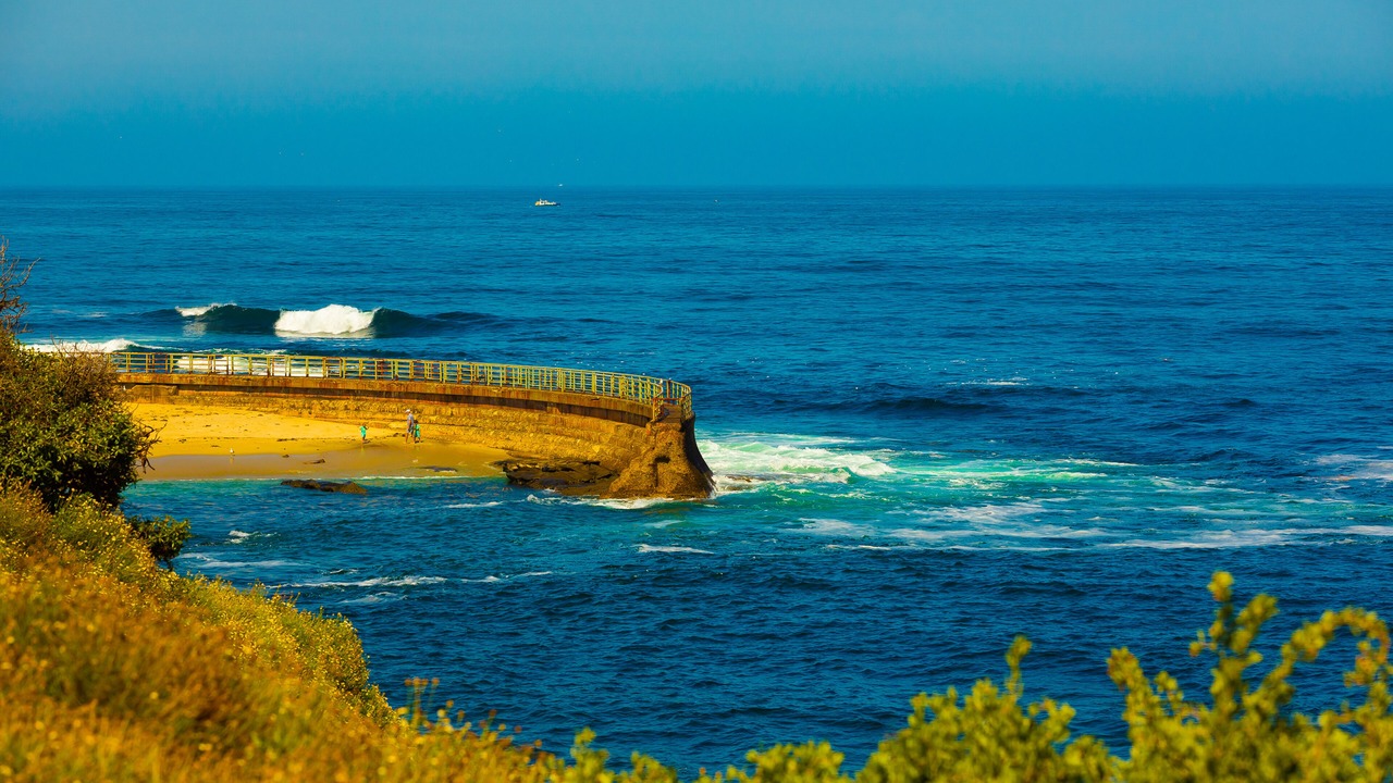 Photo of Others in Village of La Jolla