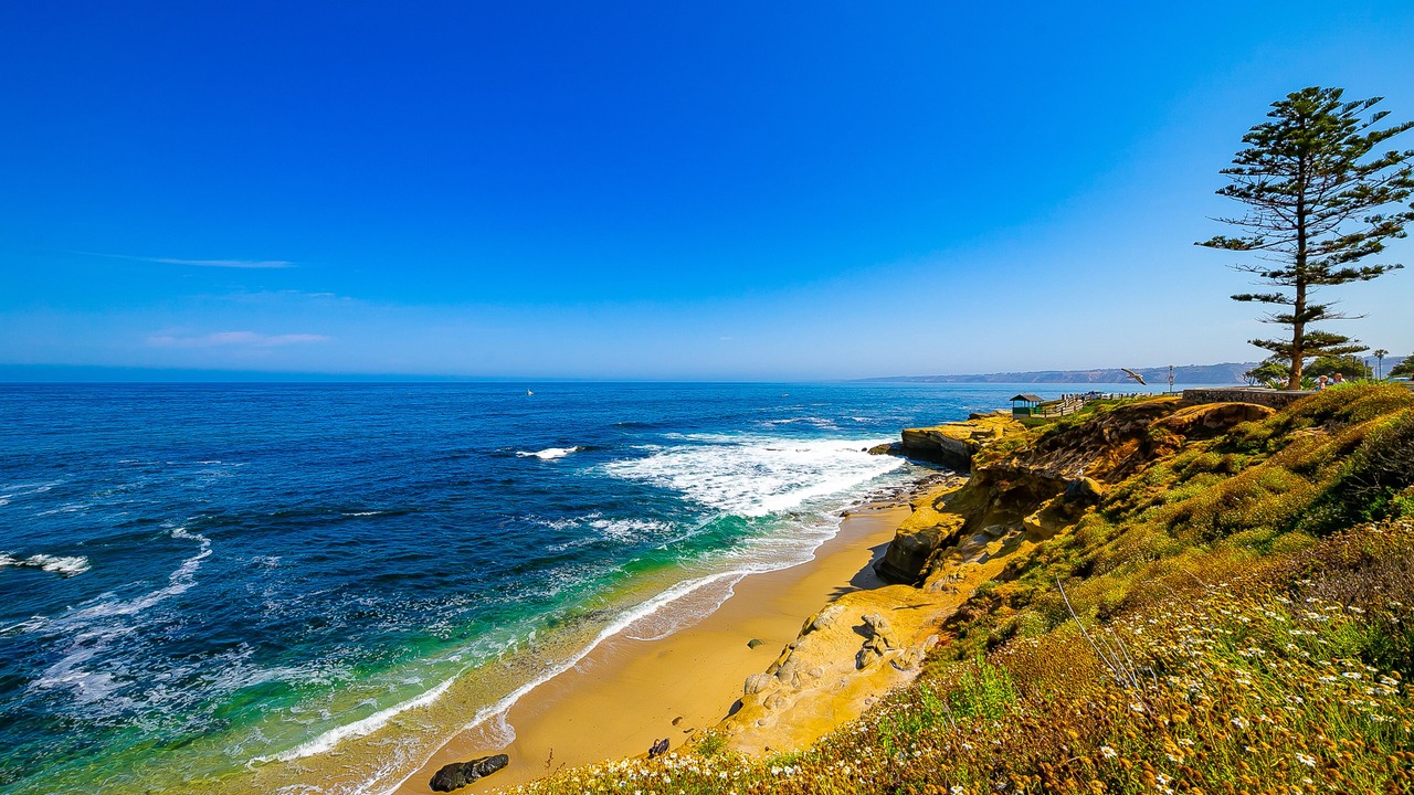Photo of Others in Village of La Jolla