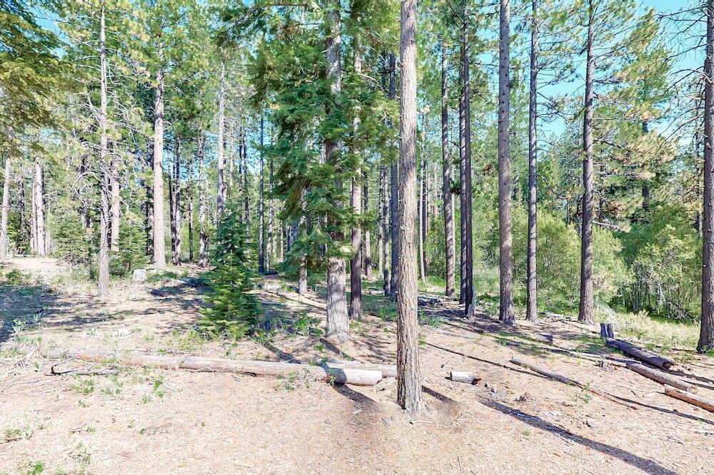 Photo of Others in South Lake Tahoe