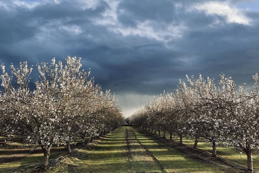 Photo of Outdoor in Dinuba