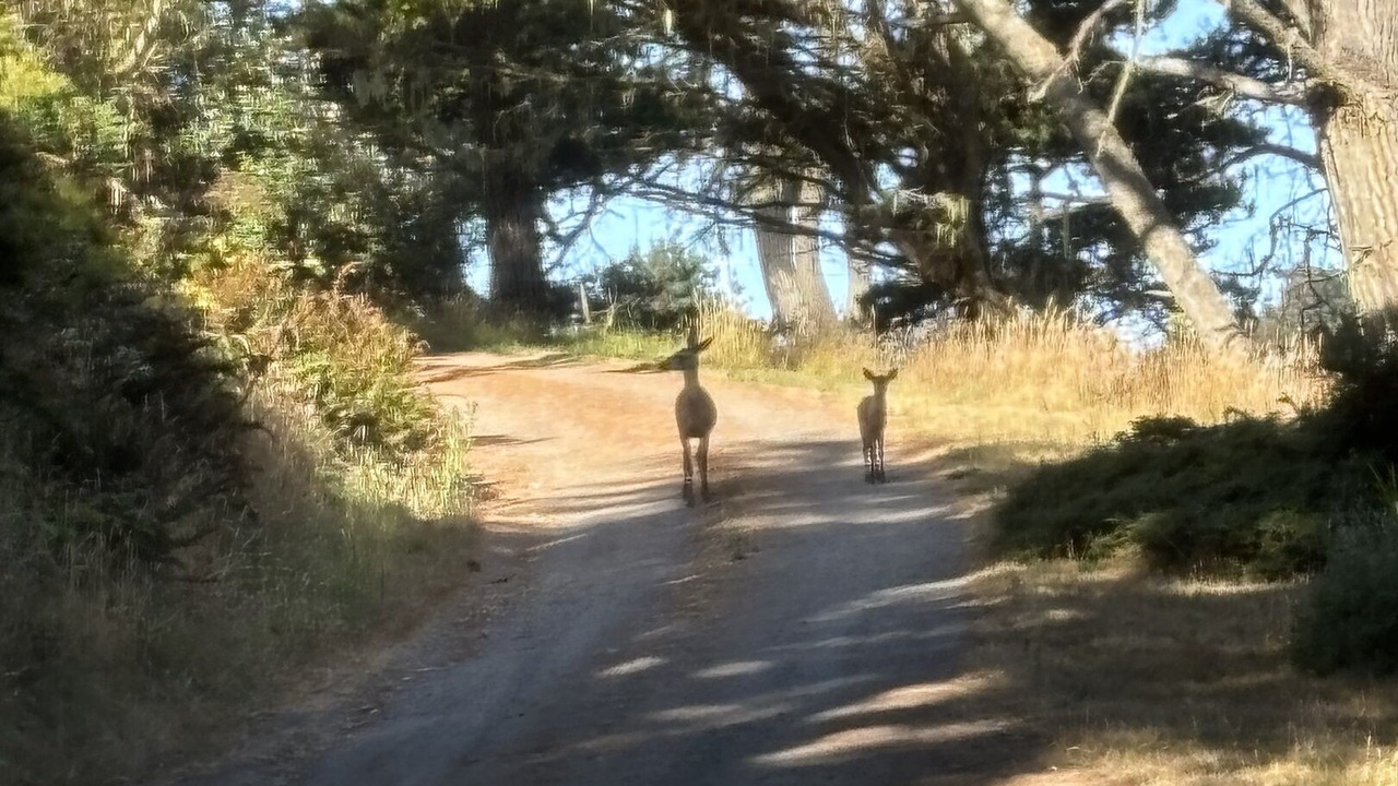 Photo of Outdoor in Occidental