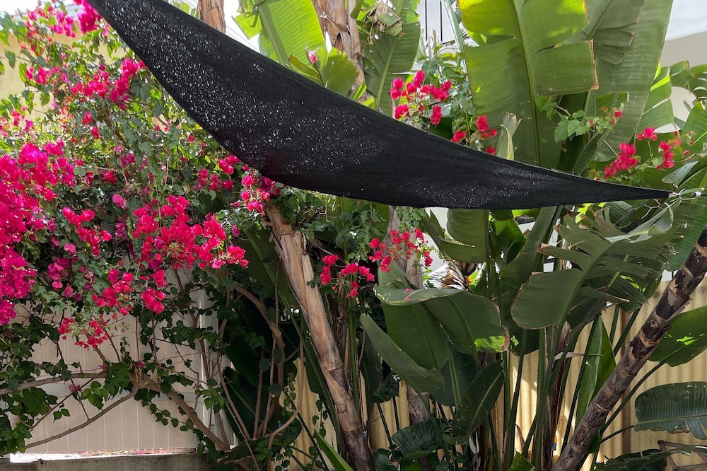 Photo of Outdoor in El Porto