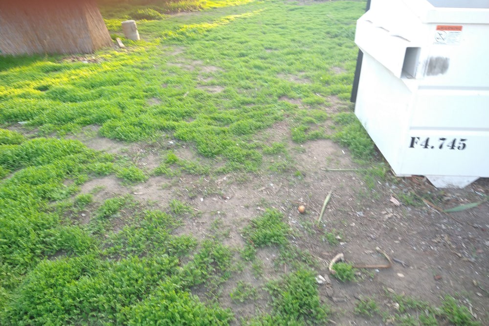 Photo of Outdoor in Turlock