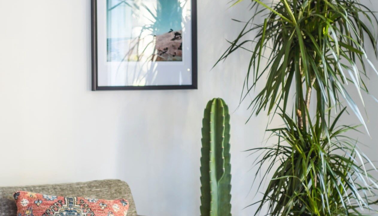 Photo of Livingroom in Topanga